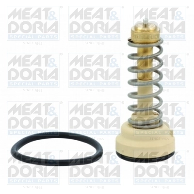 Thermostat, coolant